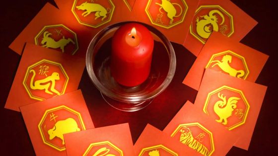 Découvrez ce que vous réserve l’année 2019 sous le signe du Cochon