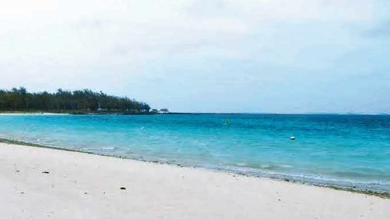 Économie océanique : des lagons bientôt dotés de canaux navigables