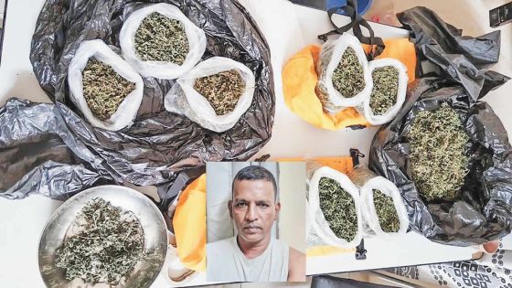 Culture et distribution de cannabis : le chef pompier suspendu soupçonné d’être un maillon fort dans le Nord