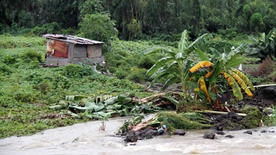 Légumes filants et fines herbes ont souffert