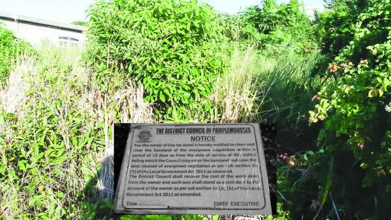 Terrain en friche à Calebasses : il est victime de vol à deux reprises