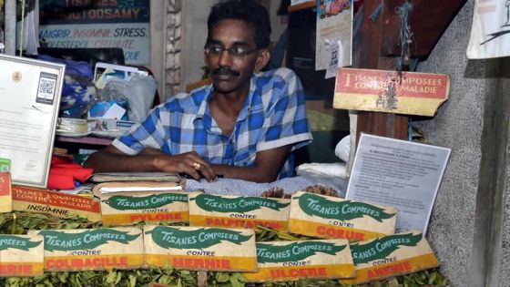 Tisanes : des plantes médicinales pour renforcer le système immunitaire