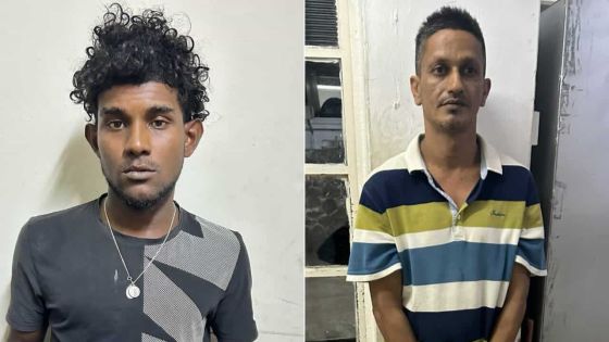 Dans le Nord : de la drogue de synthèse et du « papie tranpe » retirés du marché