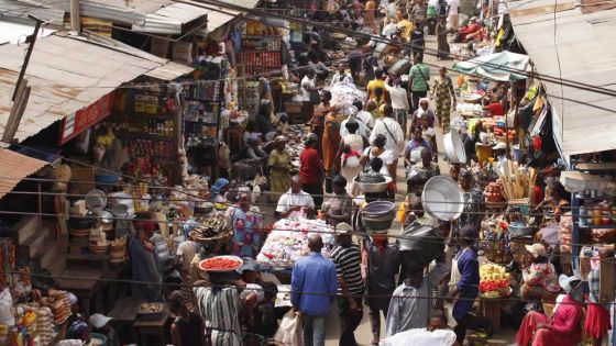 Budget 2016-2017 – Stratégie africaine: accueil mi-figue mi-raisin