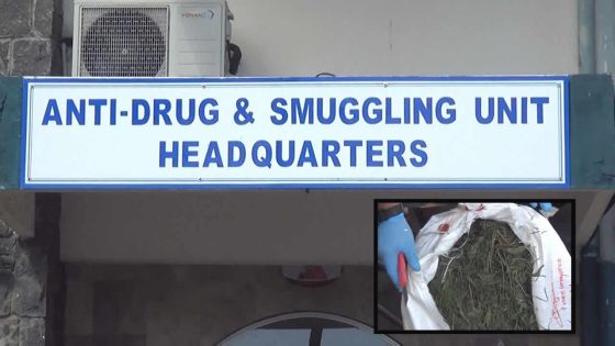 Reportage : Au cœur de la brigade antidrogue