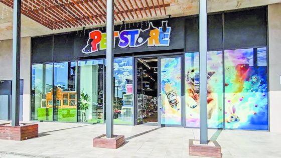 PETSTORE : le paradis des animaux… livré jusqu’à votre porte !