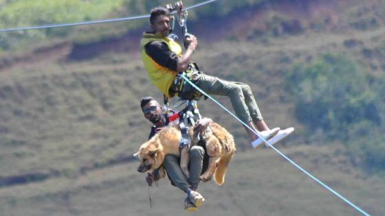 A la Vallée-des-couleurs : une chienne fait de la tyrolienne