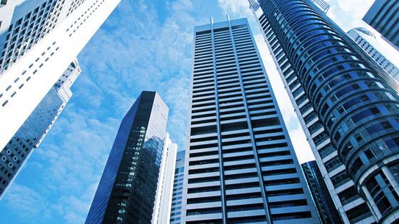 Investissements en Inde : Singapour dépasse largement Maurice 