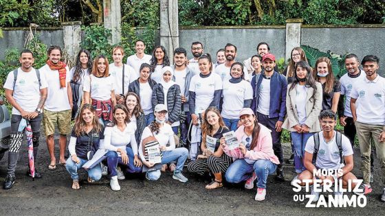 Animaux errants : une clinique de stérilisation mobile en projet