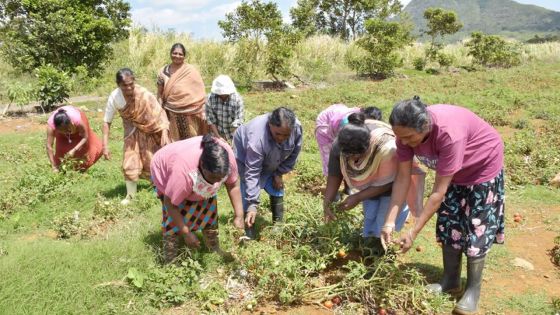 Métier : cultiver son amour pour la terre 