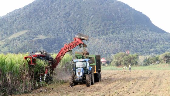 Secteur sucre : les petits planteurs menacent de descendre dans la rue