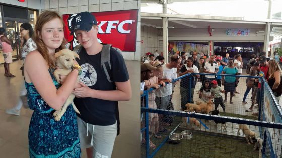Journée mondiale des animaux : journée d’adoption et cérémonie religieuse organisées par la MSAW