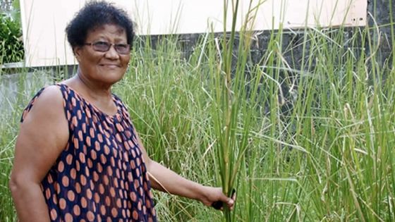 Ginette Villeneuve Anaudin : «Les femmes plus nombreuses à adhérer aux associations entrepreneuriales»