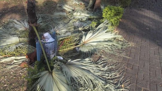 Le ramassage d’ordures décrié au jardin de Plaine-Verte