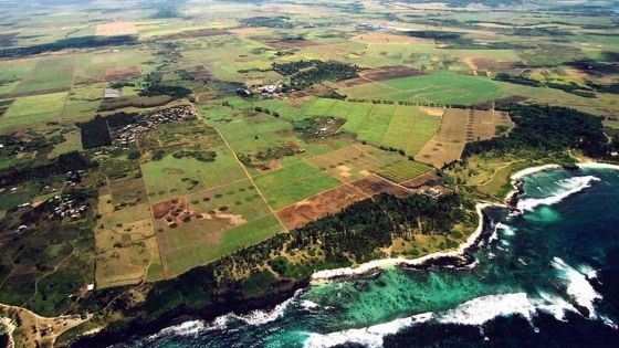 Sugar Investment Trust : levée de boucliers contre le projet de Smart City au Bouchon