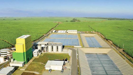 Biocarburant : le mélange essence-éthanol une réalité d’ici juin 2017