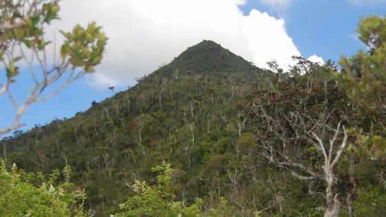 Projet immobilier à Rivière-Noire - Les Salines Peninsula : une première demande de permis EIA déposée