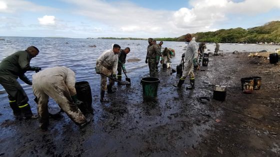 MV Wakashio : des ‘surveyors’ enquêtent sur des réclamations «douteuses»