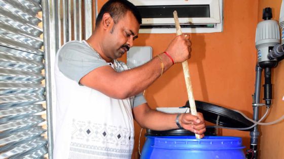 Culture hydroponique : les racines dans l’eau