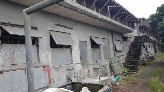 Carcasses de poulet flottant à La Nicolière : deux frères éleveurs interpellés