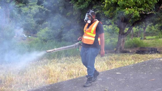 Dengue : trois cas importés répertoriés