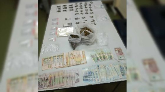 Vallée-Pitot : Rs 200 000 de cannabis saisies sur un jeune homme