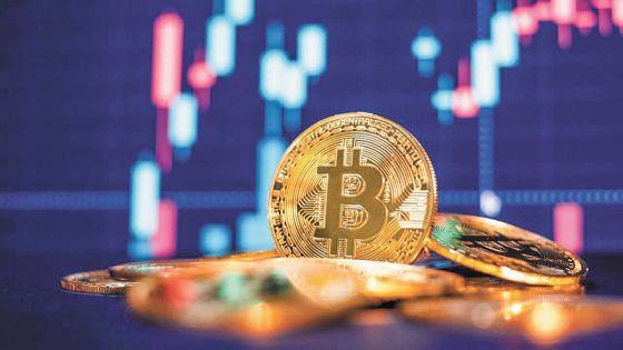 Arnaque à la cryptomonnaie : les réflexes à adopter