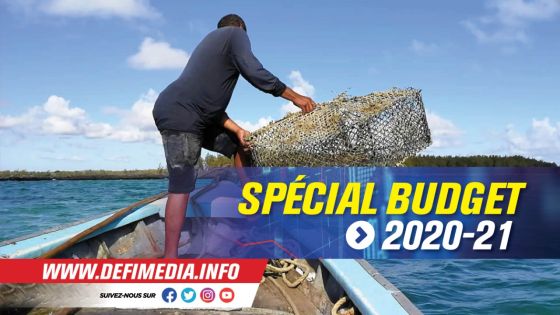 Budget 2020-21 - Pêche : hausse de Rs 60 de la Bad Weather Allowance