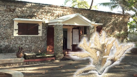 Musée Robert Edward Hart : la simplicité qui caractérise un grand poète