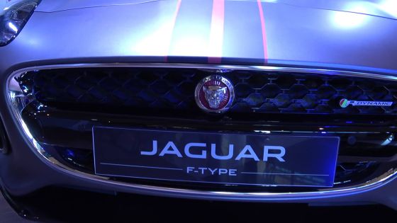 Salon de l'Automobile 2019 : découvrez les offres exceptionnelles au stand de DETAILS by Signature