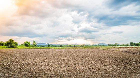 Biens fonciers : les demandes pour les terrains relativement élevées
