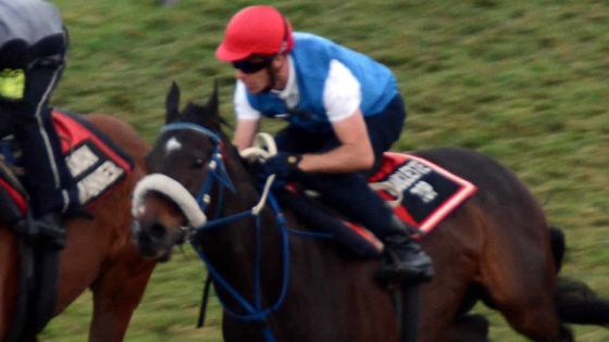 Maiden Cup - Un pot d’encre