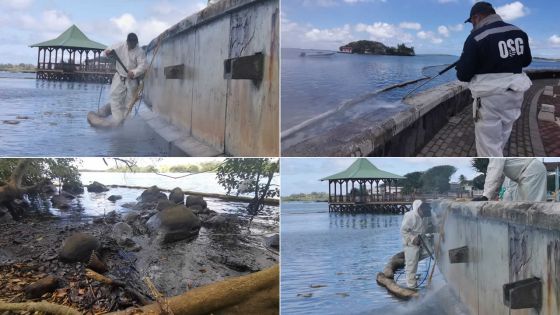 Wakashio : grand nettoyage de Pointe-d'Esny au Mahébourg Waterfront en passant par Rivière-des-Créoles 