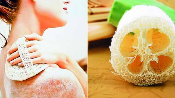 Le loofa : plus qu’un simple accessoire