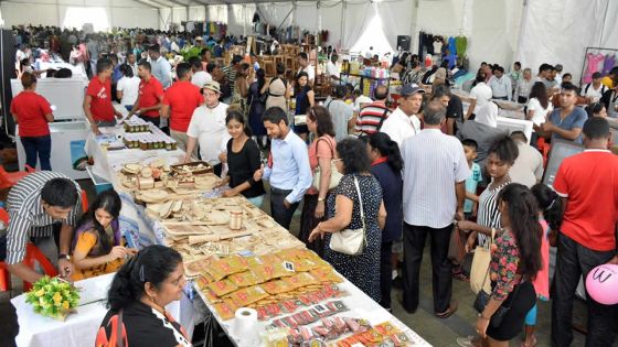 Entrepreneuriat : Maurice et l’Inde s’associent pour la formation des artisans locaux