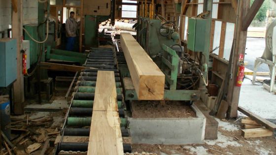 À La Caverne No 2 : le vacarme d’une scierie stresse la famille Golaub