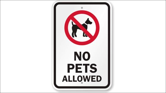 Highlands : «Défense de promener les chiens sur les terrains de football»