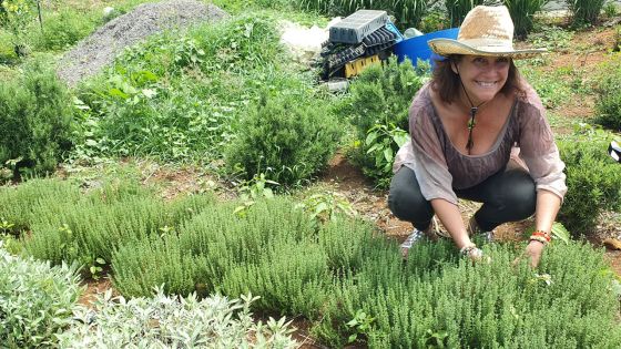 Rivière-du-rempart : Là où feuilles et fleurs poussent … au gré du temps