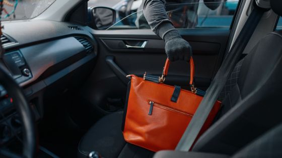 Une bande spécialisée dans le vol avec effraction dans les  voitures mise hors d’état de nuire