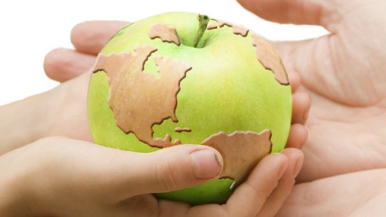 World Health Day : our workforce in danger due to diseases escalating