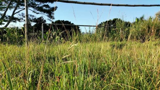 À Sébastopol : l’état du terrain de foot déploré 