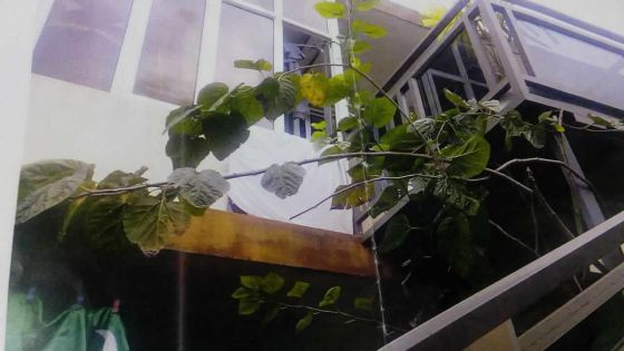 Problème de voisinage : des travaux d’aluminium et un élevage de poulets dérangent