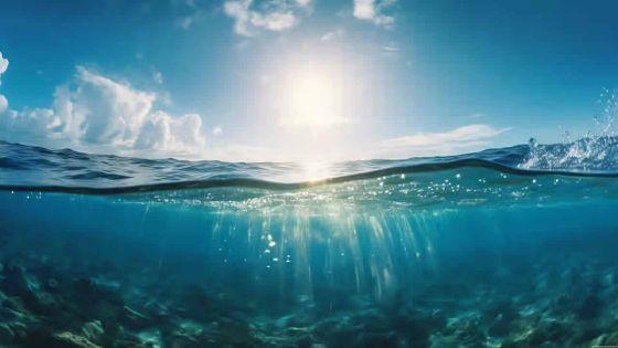 L’océan Indien sous la menace de vagues de chaleur marine permanentes