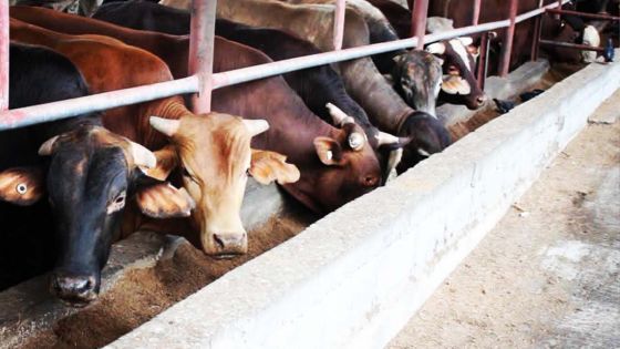 Crise économique et pandémie : comment font les sociétés coopératives pour s’en sortir ?