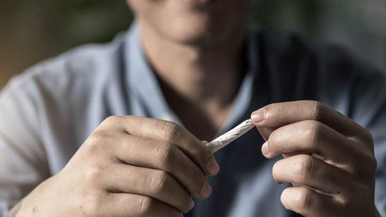 Moins de répression contre les fumeurs du gandia souhaitée