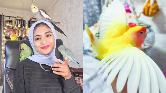 Noorifah et ses compagnons à plumes