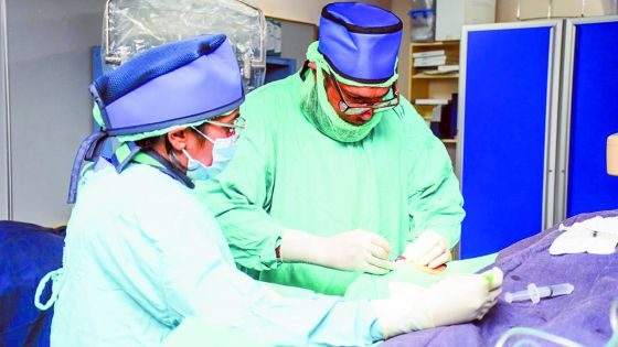 Dans les couloirs du cœur à l’hôpital Jeetoo