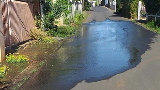 Ces Petites Misères qui nous empoisonnent l’ existense 