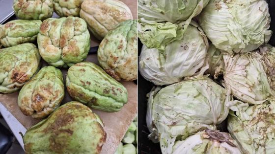 Allégations d’insalubrité et aliments avariés : descentes quotidiennes du département sanitaire dans les cuisines des hôpitaux