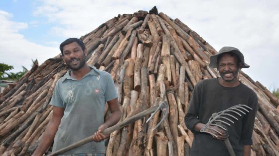Charbonnier : un métier qui part en fumée